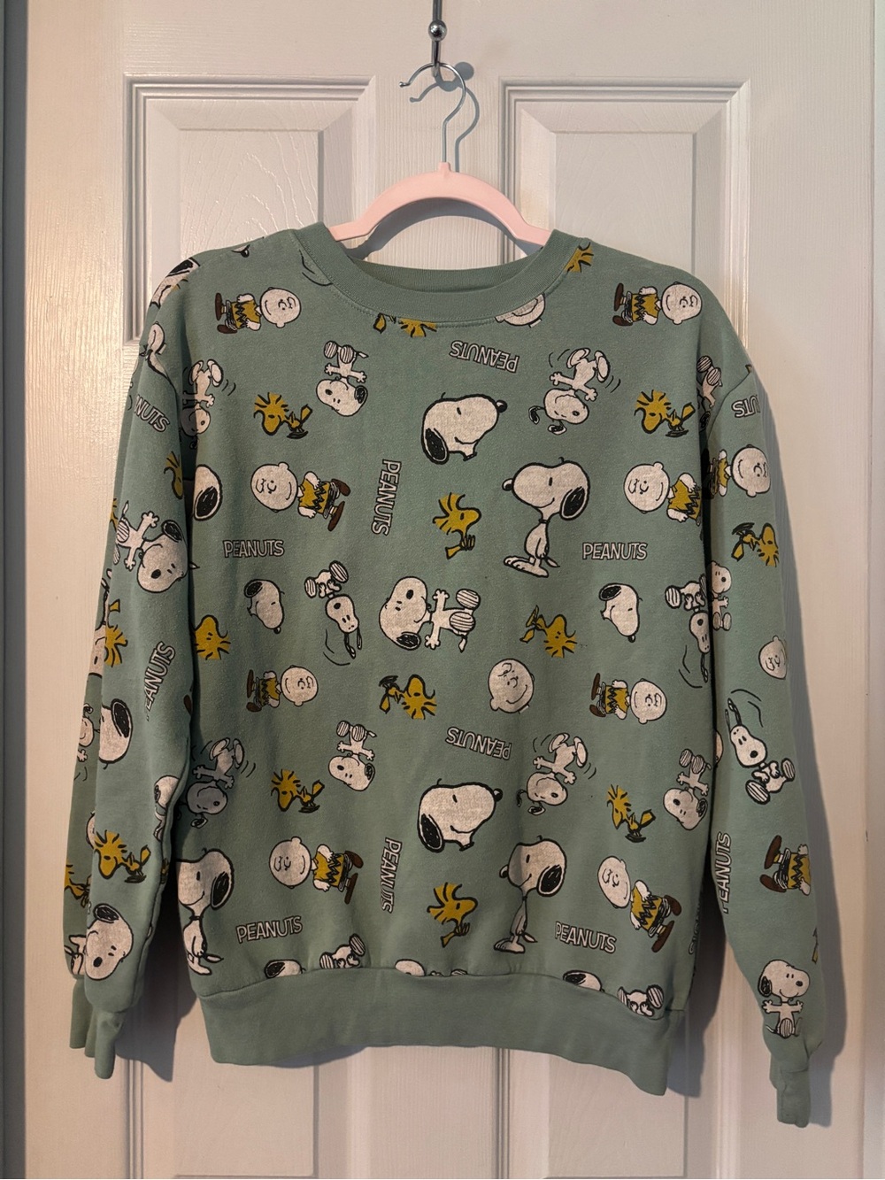 Peanuts Graphic Crewneck Sweatshirt in Sage